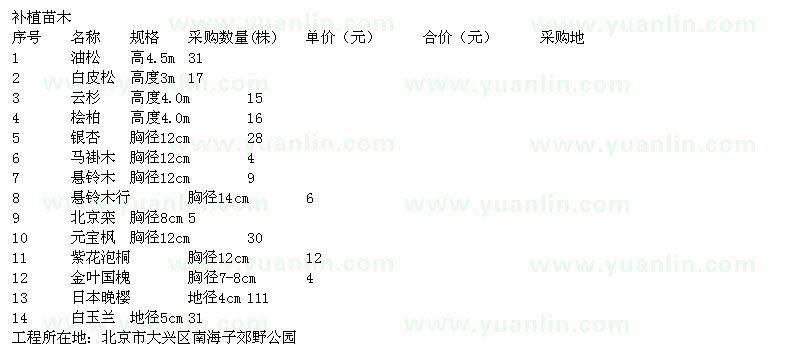 求购油松、白皮松、云杉、银杏、日本晚樱等苗木