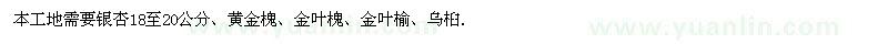 求购银杏、黄金槐、金叶槐、金叶榆、乌桕