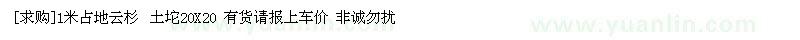 求购1米占地云杉 土坨20X20