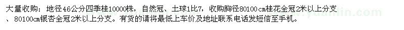 求购大量收购：四季桂、桂花、银杏