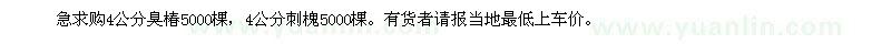 求购急购4公分臭椿5000棵，4公分刺槐5000棵