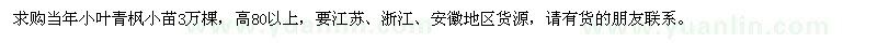 求购高80以上小叶青枫小苗3万棵