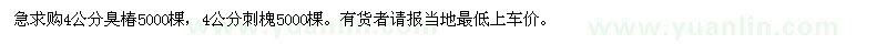 求购4公分臭椿5000棵,4公分刺槐5000棵