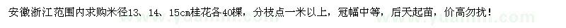 求购米径13、14、15cm桂花各40棵 