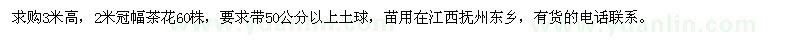 求购3米高，2米冠幅茶花60株 