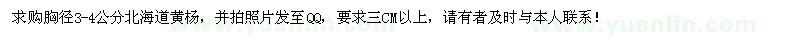 求购胸径3-4公分北海道黄杨