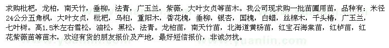 求购枇杷，龙柏，南天竹，垂柳，法青，广玉兰，紫薇，大叶女贞等苗木