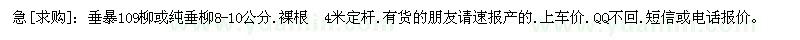 求购垂暴109柳或纯垂柳8-10公分