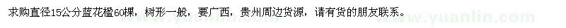 求购15公分蓝花楹60棵