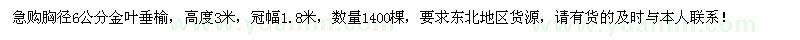 求购胸径6公分金叶垂榆1400棵