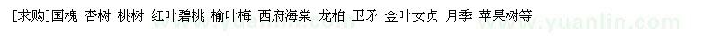 求购国槐 杏树 桃树 红叶碧桃 榆叶梅 西府海棠 龙柏 卫矛 金叶