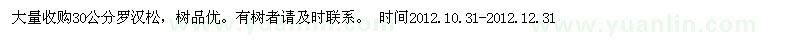 求购30公分罗汉松