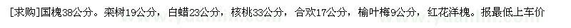 求购国槐38公分，栾树19公分，白蜡23公分