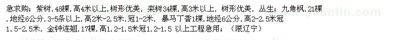 求购紫树、栾树、九角枫、暴马丁香、金钟连翘