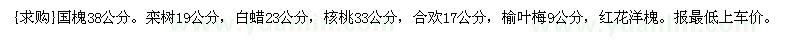 求购国槐38公分。栾树19公分，白蜡23公分