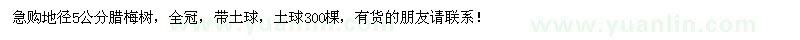 求购地径5公分腊梅树300棵