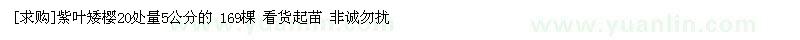 求购紫叶矮樱20处量5公分的 169棵