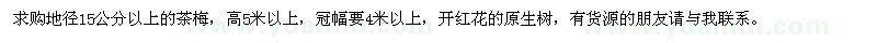 求购地径15公分以上的茶梅