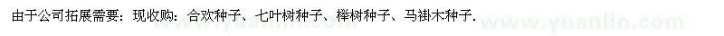 求购合欢种子、七叶树种子、榉树种子、马褂木种子