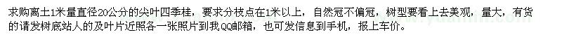 求购离土1米量直径20公分的尖叶四季桂