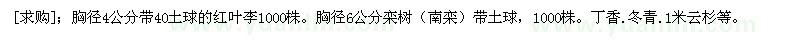 求购红叶李 栾树（南栾） 丁香 冬青 云杉