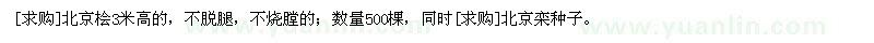 求购北京桧3米高的，不脱腿，北京栾种子