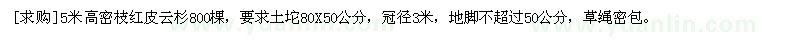 求购5米高密枝红皮云杉800棵