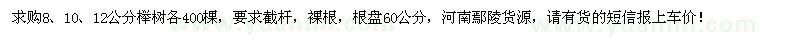 求购8、10、12公分榉树各400棵