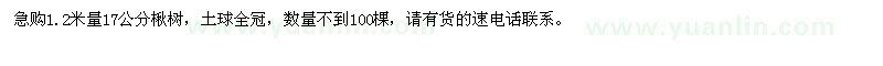 求购1.2米量17公分楸树