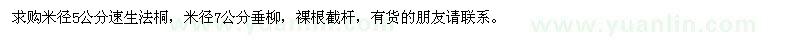 求购速生法桐、垂柳