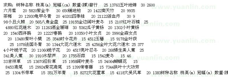 求购箬竹、五叶地锦、六月雪 、紫金牛等