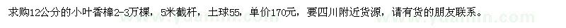 求购12公分的小叶香樟