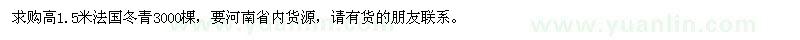 求购高1.5米法国冬青3000棵