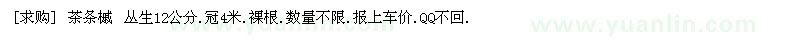 求购茶条槭 丛生12公分.冠4米.裸根