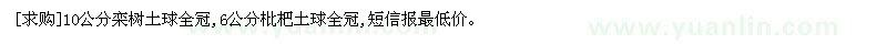 求购10公分栾树土球全冠,6公分枇杷土球全冠