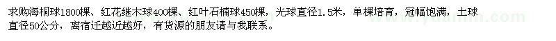 求购海桐球、红叶石楠球、红花继木球