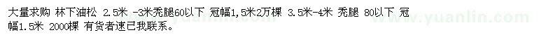 求购林下油松 2.5米-3米秃腿60以下 