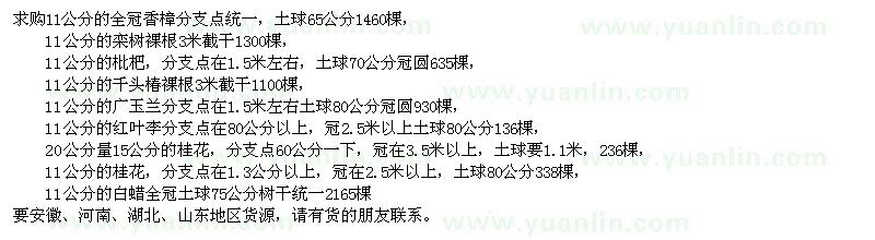 求购香樟、栾树、枇杷、千头椿、广玉兰等苗木