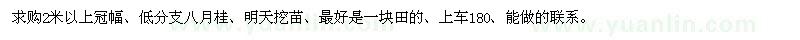 求购2米以上冠幅、低分支八月桂