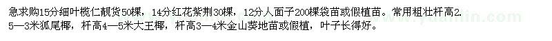 求购细叶榄仁,红花紫荆,人面子,狐尾椰,金山葵
