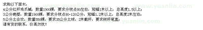 求购鸡爪槭、晚樱、土合欢