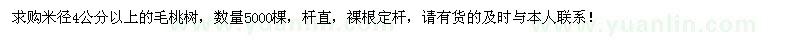 求购米径4公分以上毛桃树5000棵