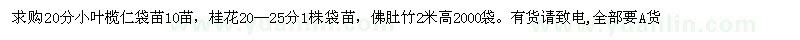 求购小叶榄仁、桂花、佛肚竹一批