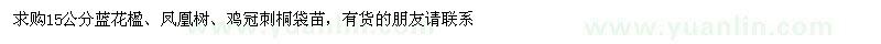 求购15公分蓝花楹、凤凰树、鸡冠刺桐袋苗 