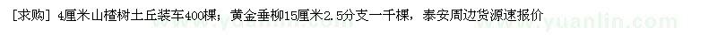 求购4厘米山楂树，黄金垂柳15厘米