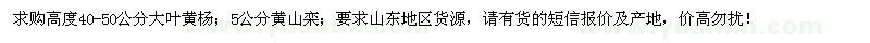 求购大叶黄杨、黄山栾