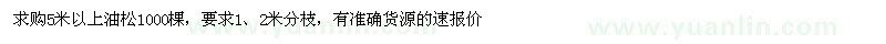 求购5米以上油松1000棵