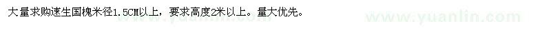求购速生国槐米径1.5CM以上