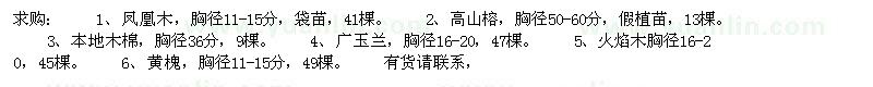 求购凤凰木，高山榕，本地木棉，广玉兰，火焰木，黄槐