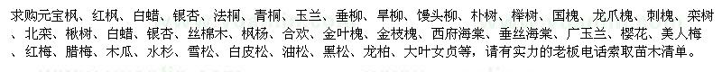求购元宝枫、大叶女贞、白蜡、银杏、法桐、青桐、玉兰、垂柳、樱花